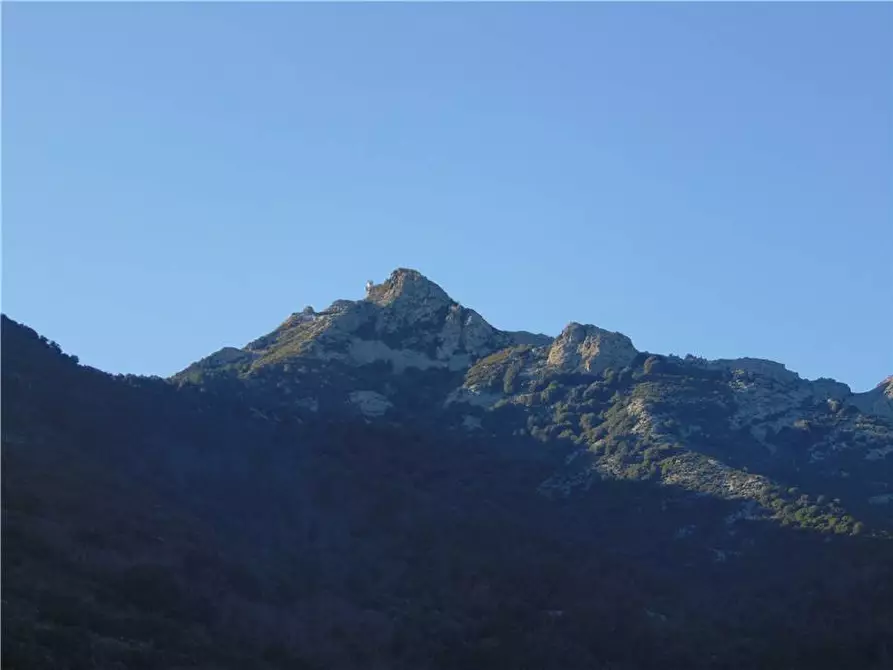 Immagine 9 di Appartamento in vendita  a Marciana