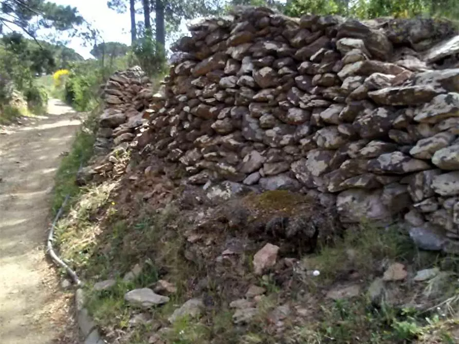 Immagine 6 di Terreno in vendita  a Capoliveri
