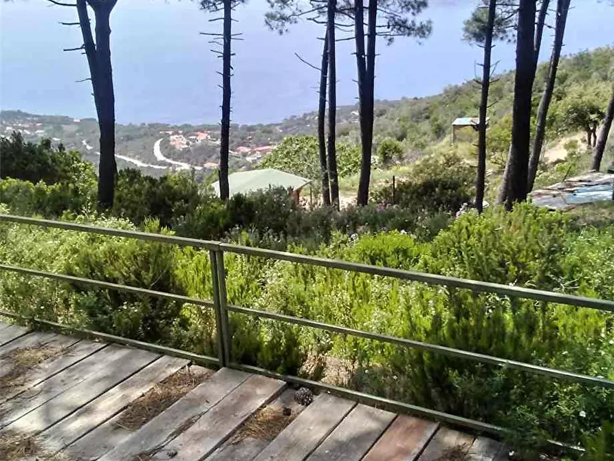 Immagine 7 di Terreno in vendita  a Capoliveri