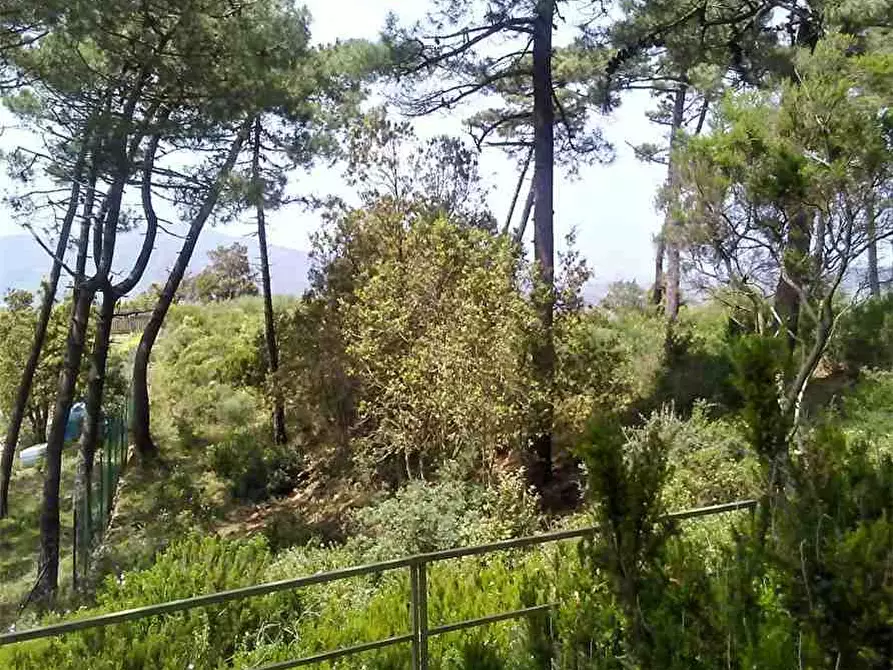 Immagine 8 di Terreno in vendita  a Capoliveri