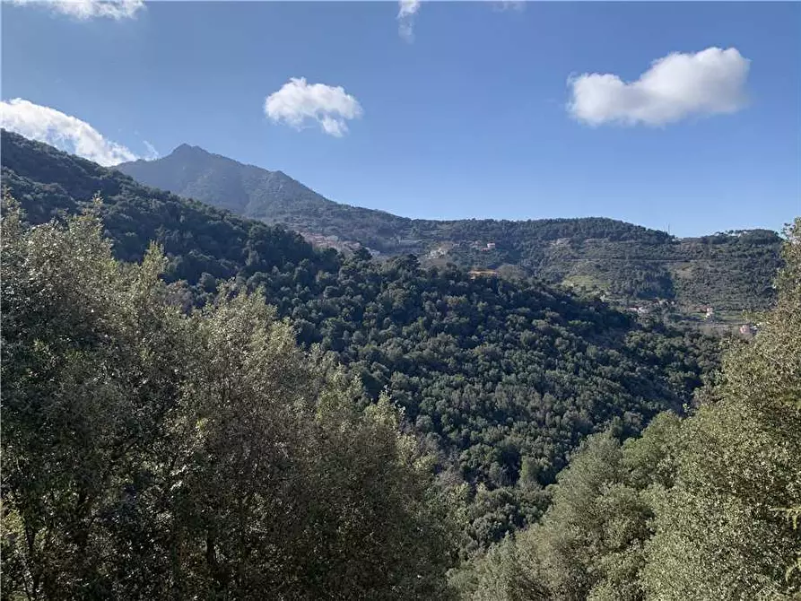 Immagine 13 di Appartamento in vendita  a Marciana