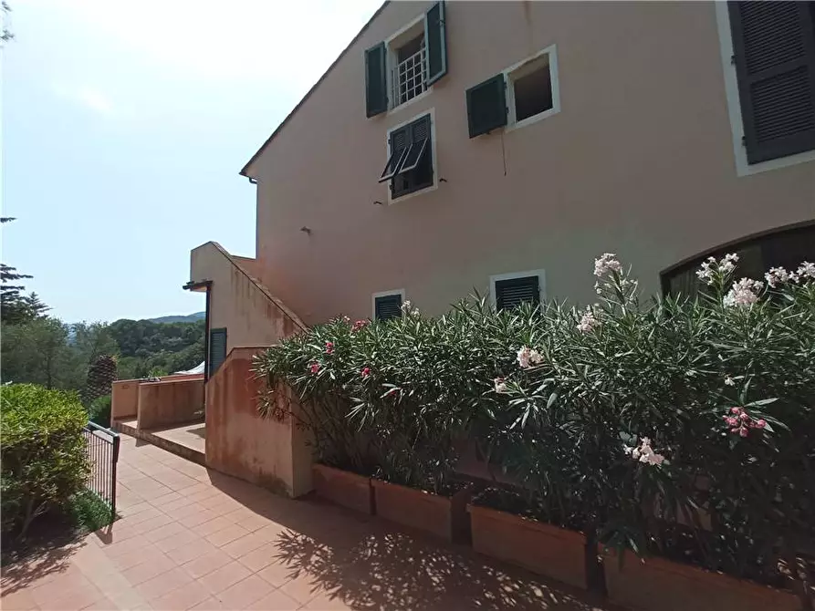 Immagine 15 di Appartamento in vendita  a Marciana Marina