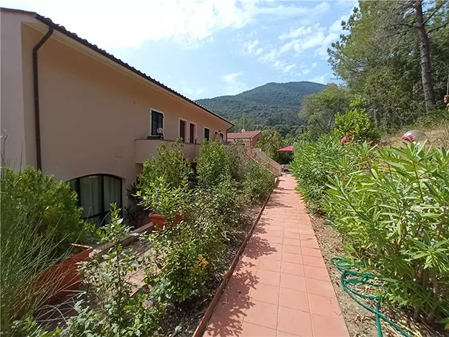 Immagine 16 di Appartamento in vendita  a Marciana Marina