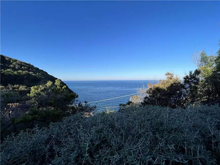 Immagine 11 di Porzione di casa in vendita  a Marciana Marina