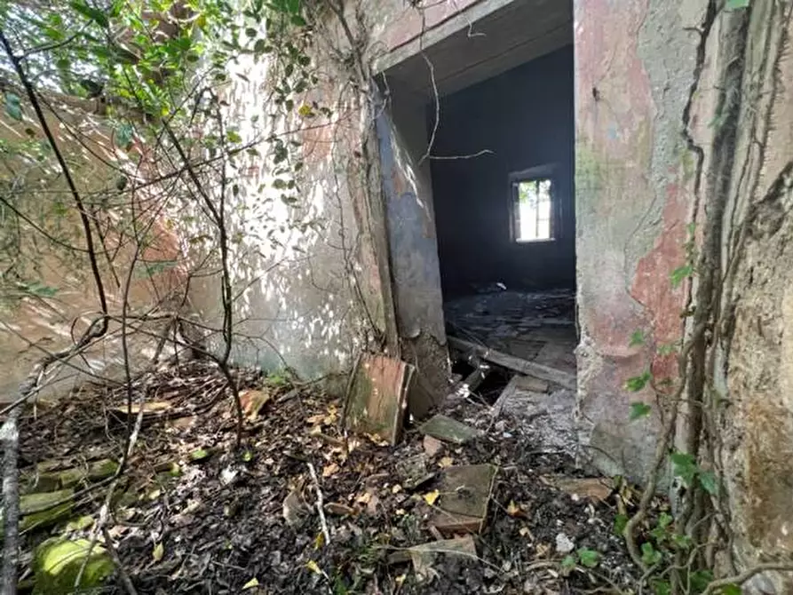 Immagine 5 di Rustico / casale in vendita  a Rio