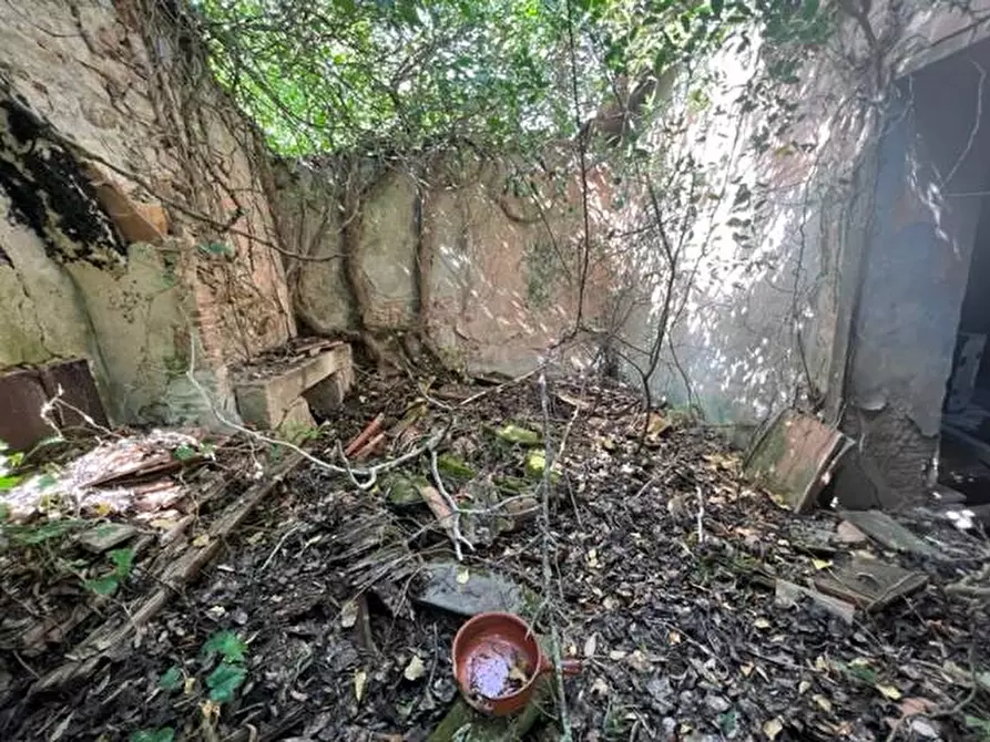 Immagine 6 di Rustico / casale in vendita  a Rio
