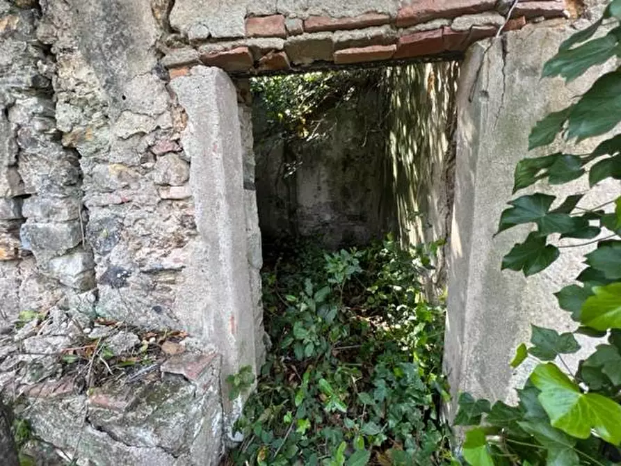 Immagine 7 di Rustico / casale in vendita  a Rio