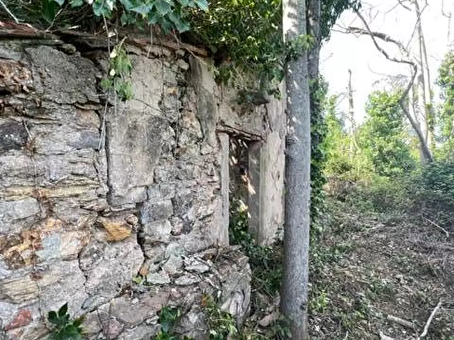 Immagine 8 di Rustico / casale in vendita  a Rio