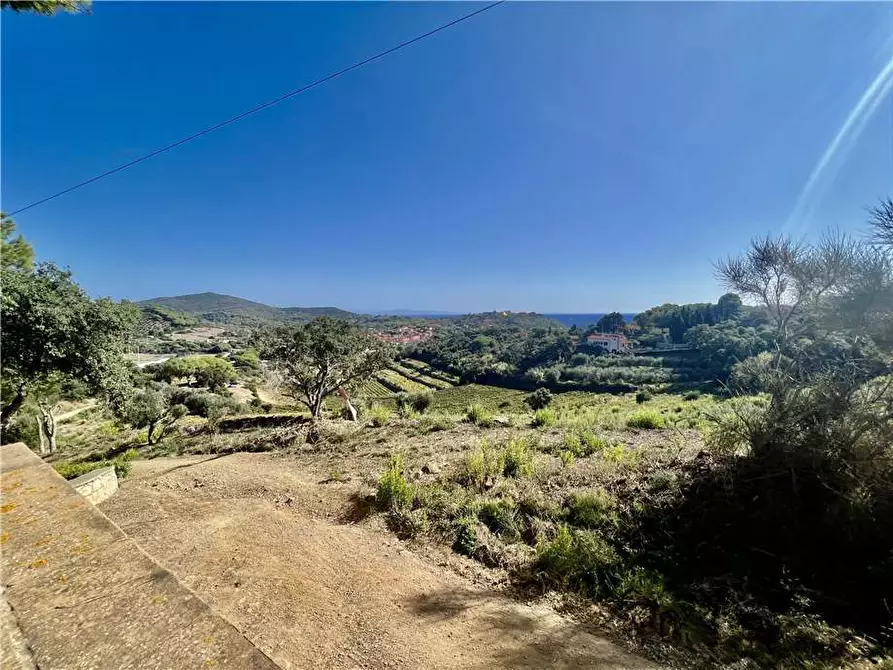 Immagine 8 di Villa in vendita  a Porto Azzurro