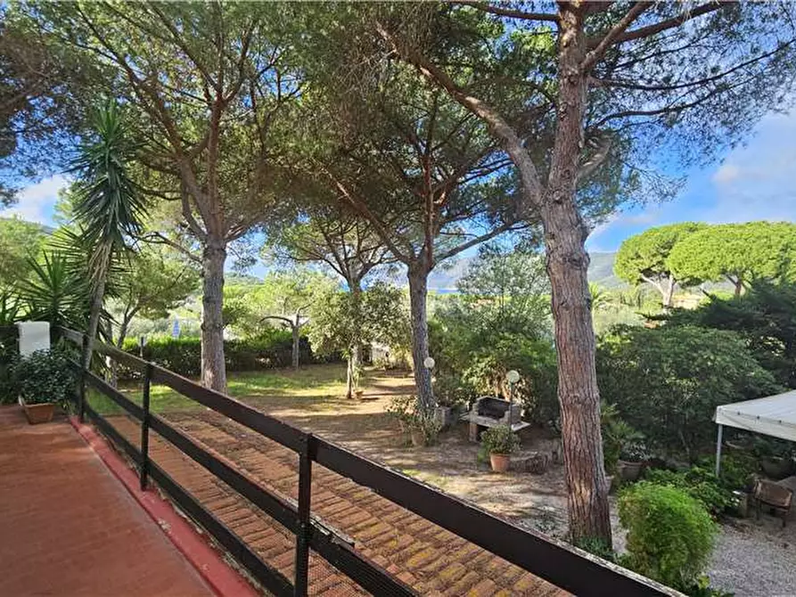 Immagine 9 di Villa in vendita  a Capoliveri