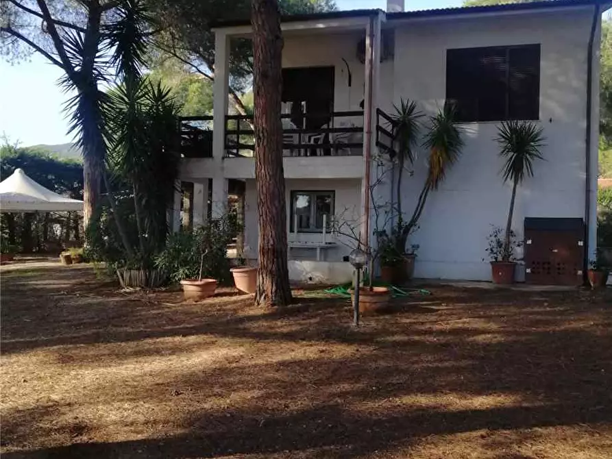 Immagine 11 di Villa in vendita  a Capoliveri