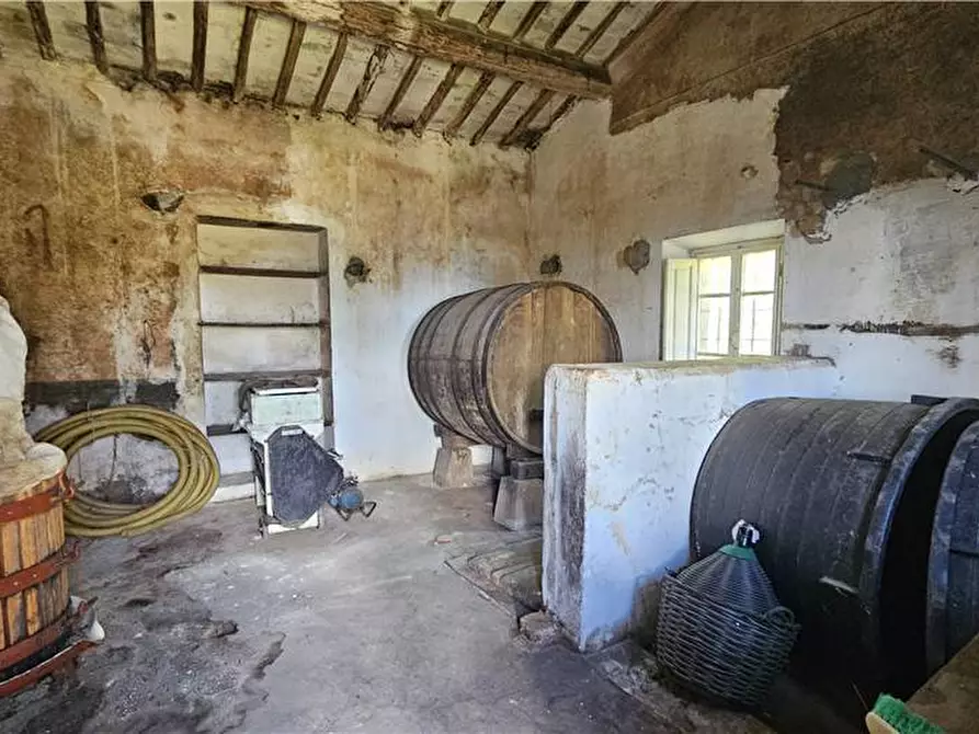 Immagine 6 di Rustico / casale in vendita  a Marciana