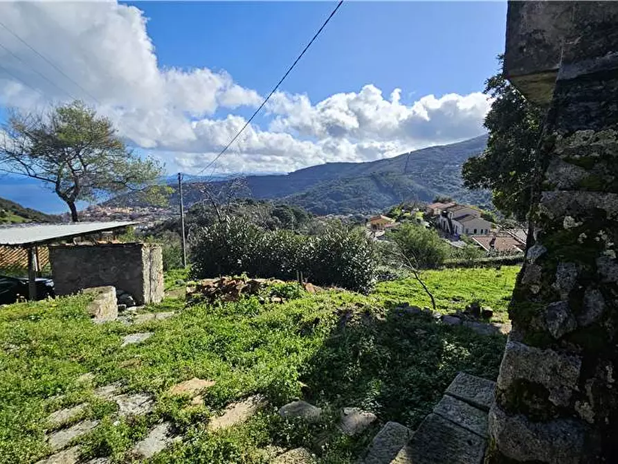 Immagine 7 di Rustico / casale in vendita  a Marciana