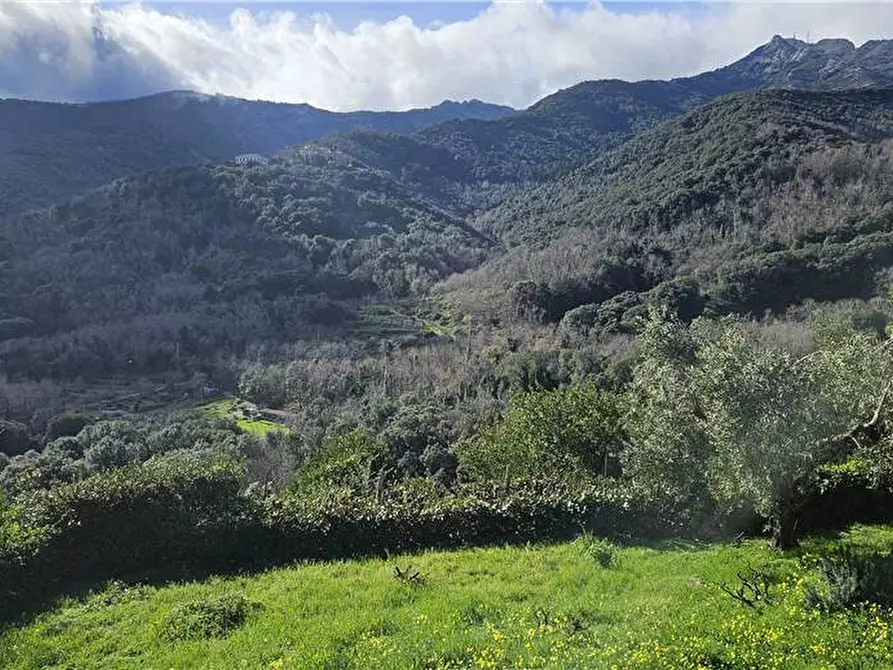 Immagine 6 di Rustico / casale in vendita  a Marciana
