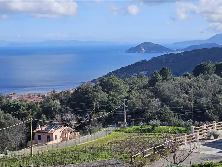 Immagine 7 di Rustico / casale in vendita  a Marciana