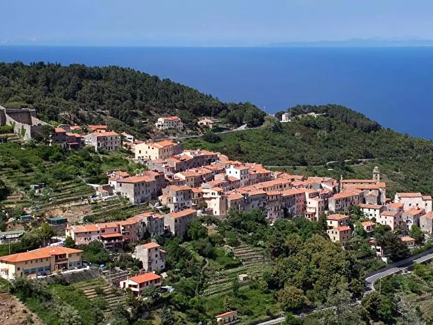 Immagine 7 di Appartamento in vendita  a Marciana