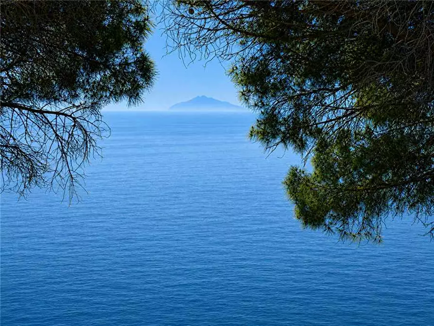 Immagine 7 di Appartamento in vendita  a Campo Nell'elba