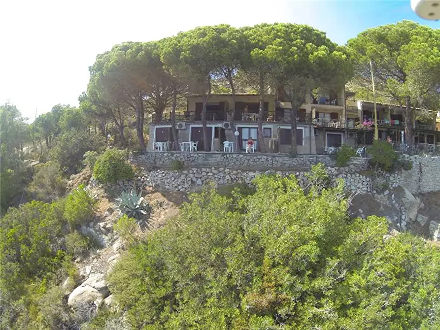 Immagine 6 di Appartamento in vendita  a Campo Nell'elba