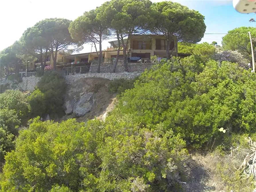 Immagine 7 di Appartamento in vendita  a Campo Nell'elba