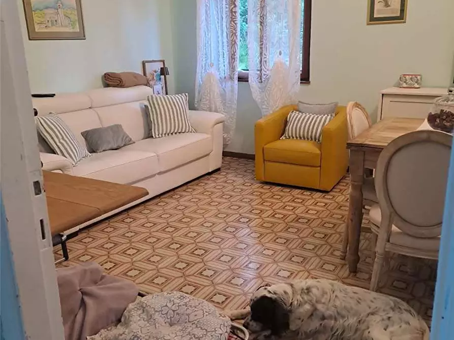 Immagine 6 di Appartamento in vendita  a Rio