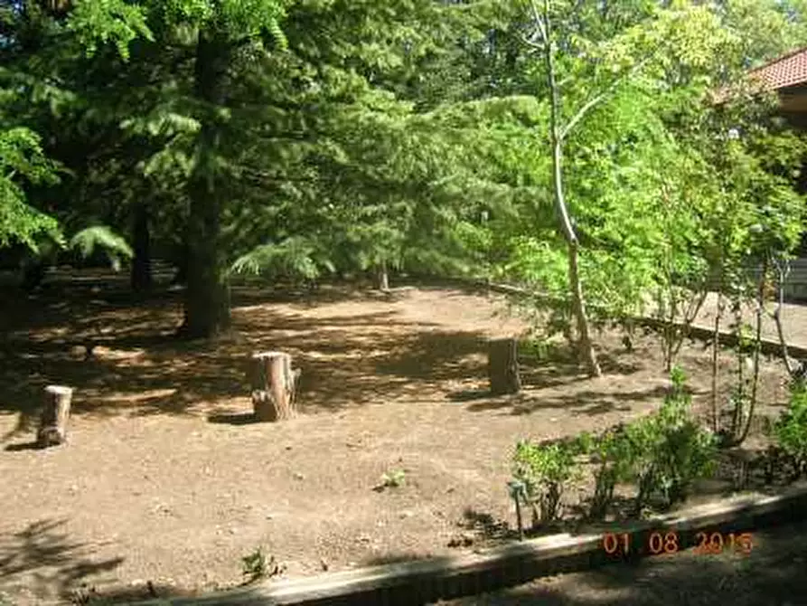 Immagine 9 di Villa in vendita  a Biancavilla