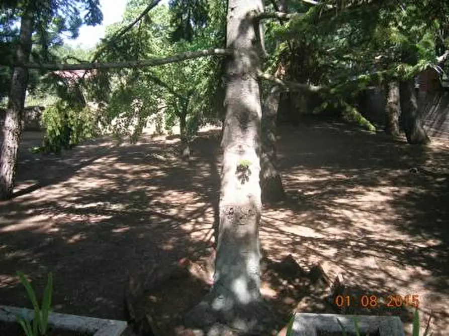 Immagine 10 di Villa in vendita  a Biancavilla