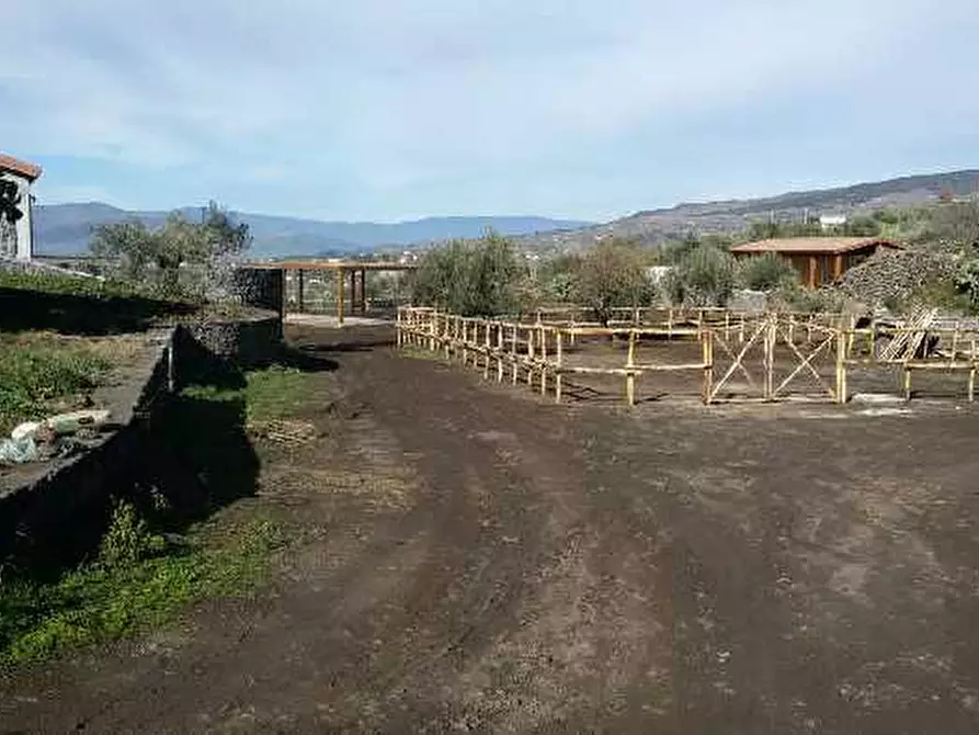 Immagine 6 di Azienda agricola in vendita  a Adrano