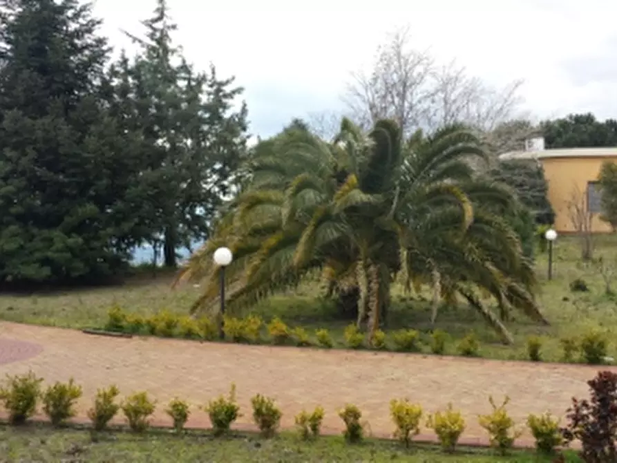 Immagine 9 di Albergo/B&B/Residence in vendita  a Santa Maria Di Licodia