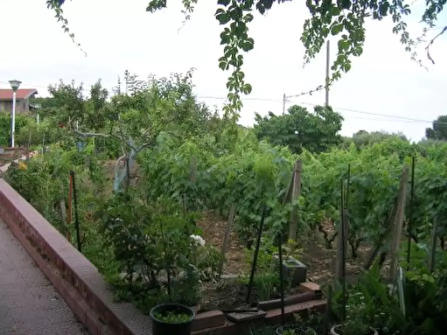 Immagine 10 di Villa in vendita  in Via cavaliere bosco a Santa Maria Di Licodia