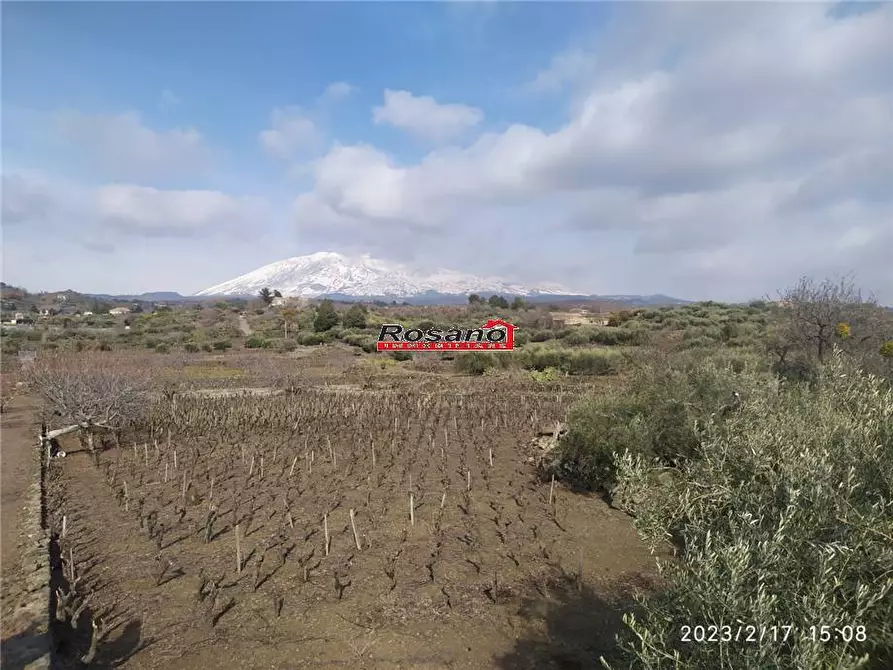 Immagine 7 di Terreno in vendita  in Loc. VIGNE a Biancavilla