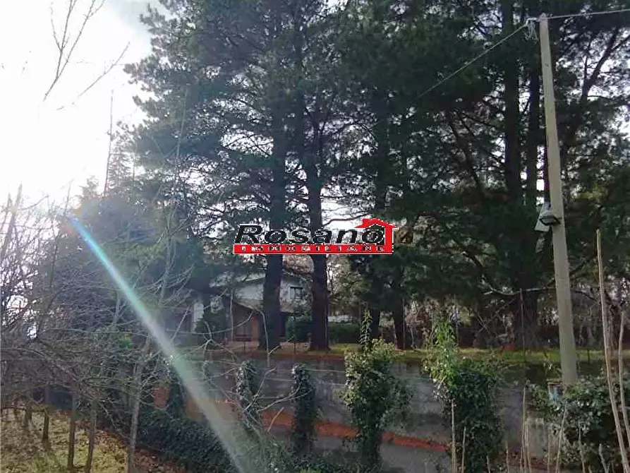 Immagine 8 di Villa in vendita  in Loc. SAN FRANCESCO a Biancavilla