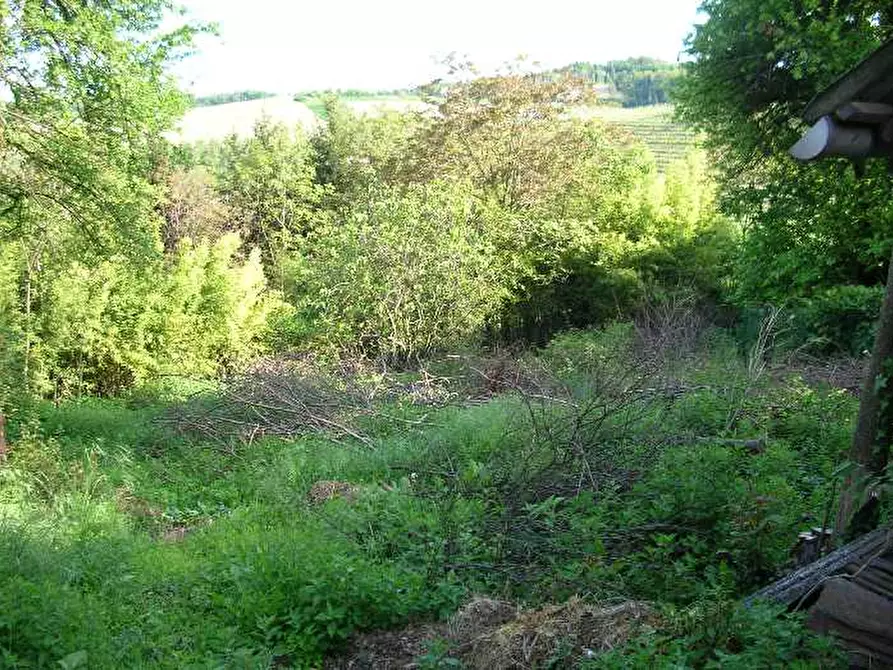 Immagine 6 di Villa in vendita  in Via DELL'ASILO, 1 a Sala Monferrato