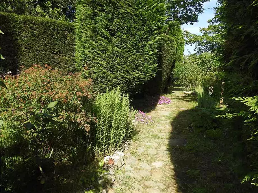 Immagine 7 di Villa in vendita  a Lu E Cuccaro Monferrato