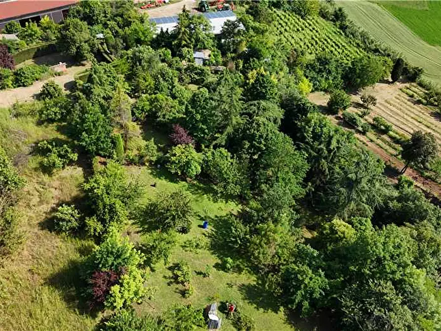 Immagine 10 di Villa in vendita  a Lu E Cuccaro Monferrato