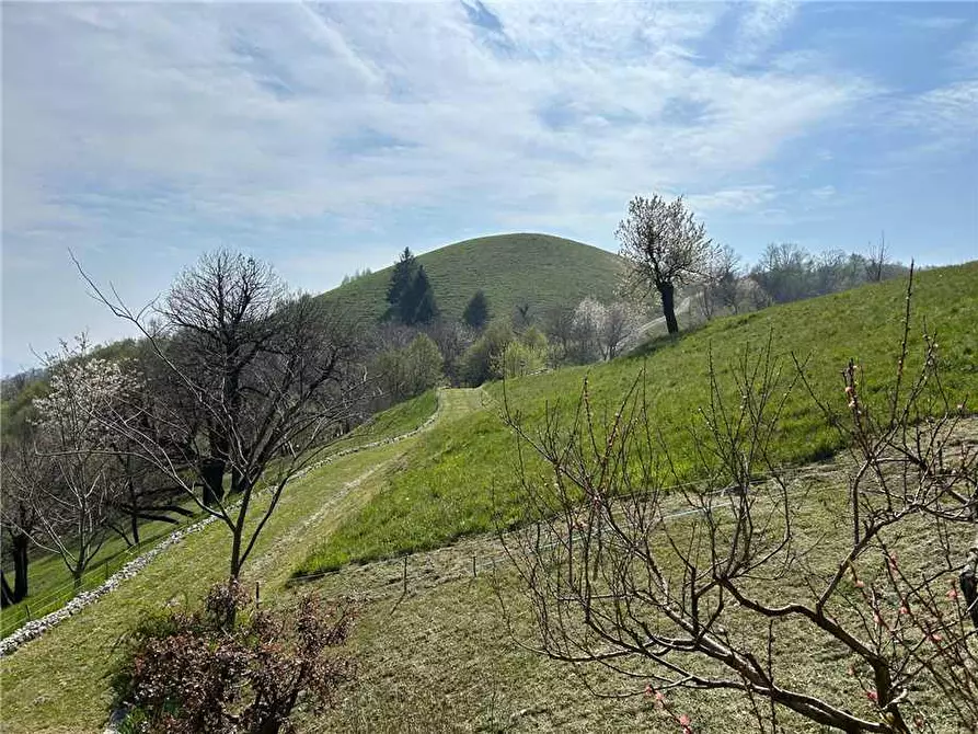 Immagine 19 di Rustico / casale in vendita  in Via Collecroce a Adrara San Martino
