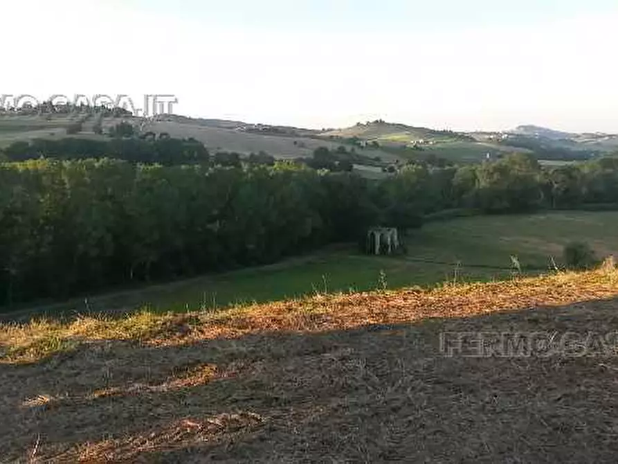 Immagine 6 di Rustico / casale in vendita  in Via provinciale a Fermo