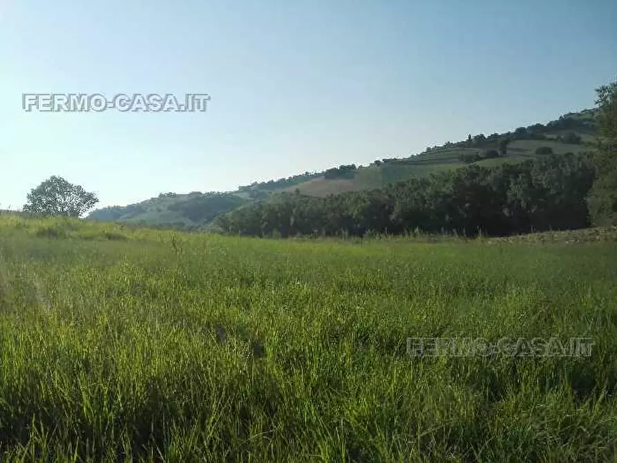 Immagine 7 di Rustico / casale in vendita  in Via provinciale a Fermo