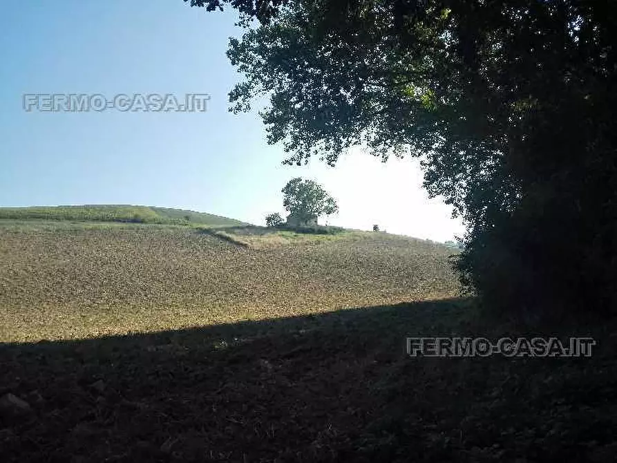 Immagine 10 di Rustico / casale in vendita  in Via provinciale a Fermo