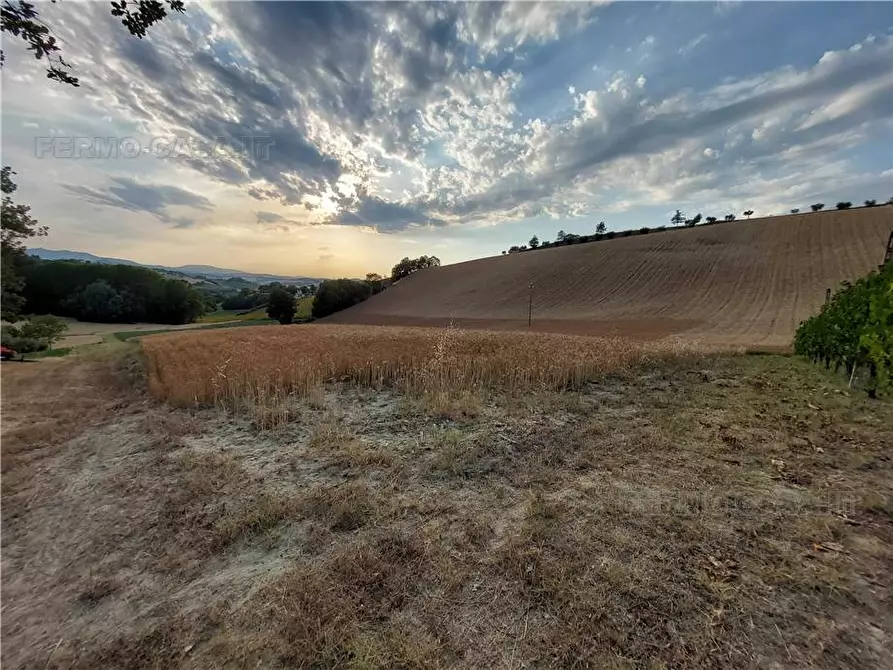 Immagine 16 di Terreno in vendita  in Via Del Mulino, 1 a Montottone