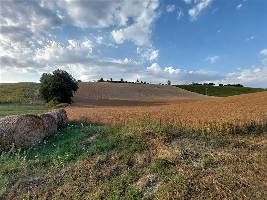 Immagine 17 di Terreno in vendita  in Via Del Mulino, 1 a Montottone