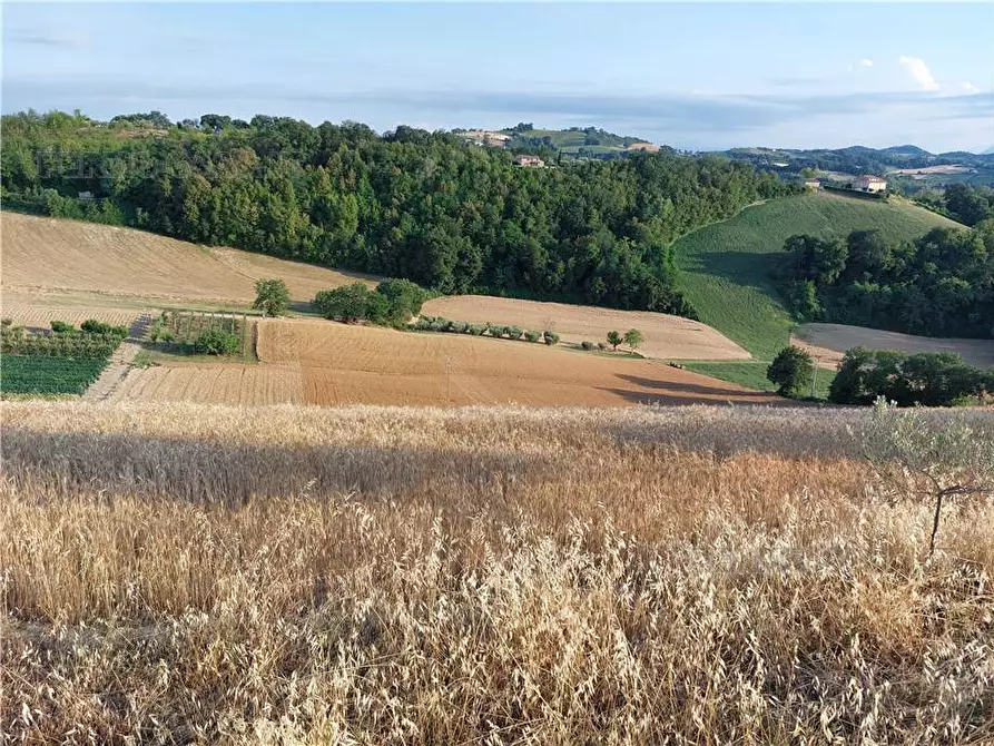 Immagine 18 di Terreno in vendita  in Via Del Mulino, 1 a Montottone