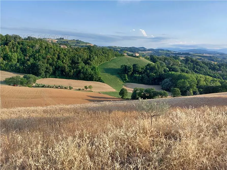 Immagine 19 di Terreno in vendita  in Via Del Mulino, 1 a Montottone