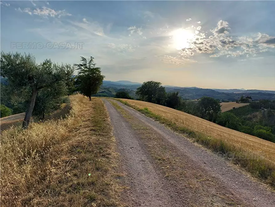 Immagine 20 di Terreno in vendita  in Via Del Mulino, 1 a Montottone