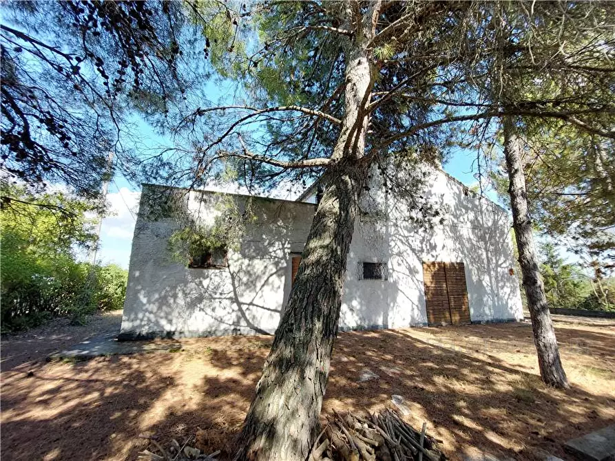 Immagine 35 di Rustico / casale in vendita  in Via Spino, 9 a Monterubbiano
