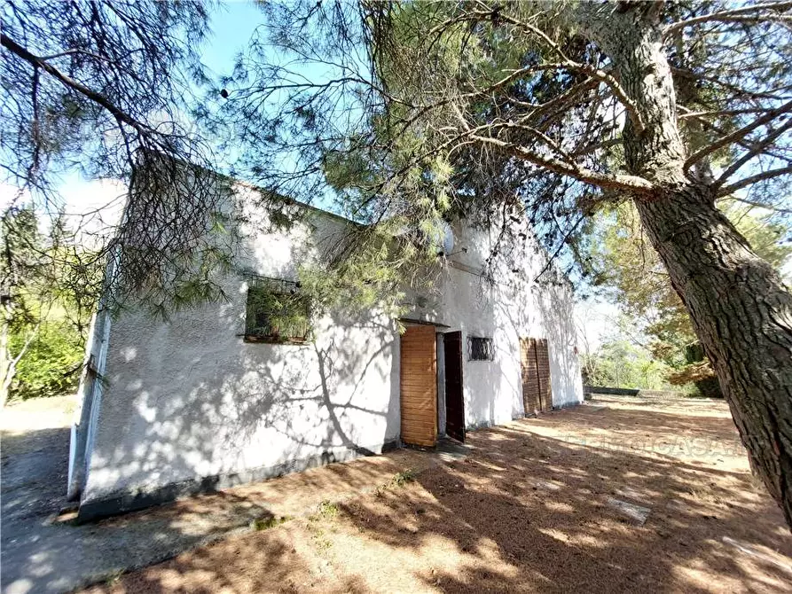 Immagine 36 di Rustico / casale in vendita  in Via Spino, 9 a Monterubbiano