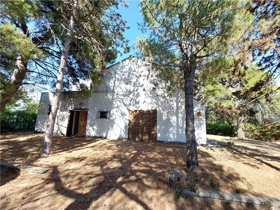 Immagine 37 di Rustico / casale in vendita  in Via Spino, 9 a Monterubbiano