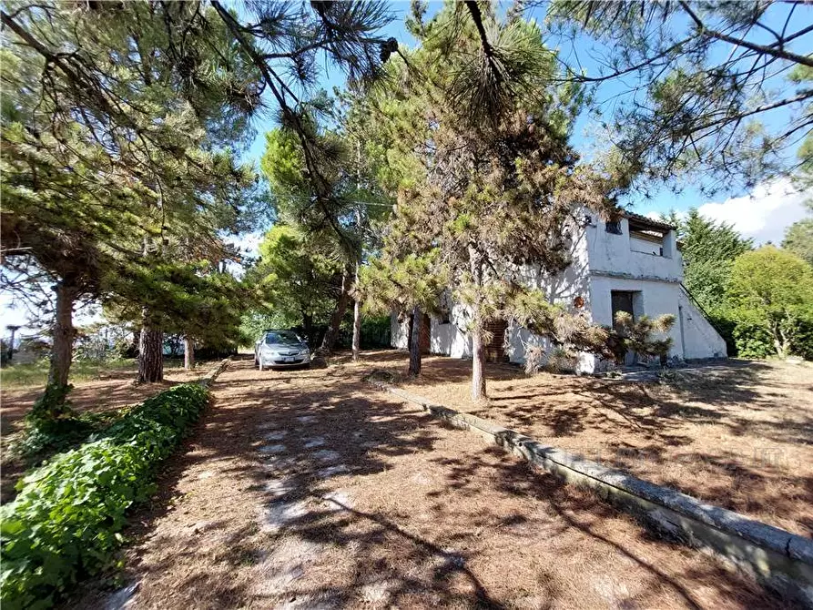 Immagine 38 di Rustico / casale in vendita  in Via Spino, 9 a Monterubbiano