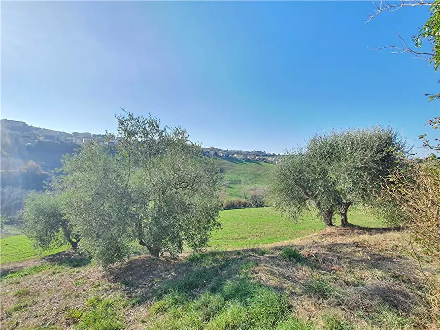 Immagine 24 di Terreno in vendita  in Via italia, 76 a Fermo