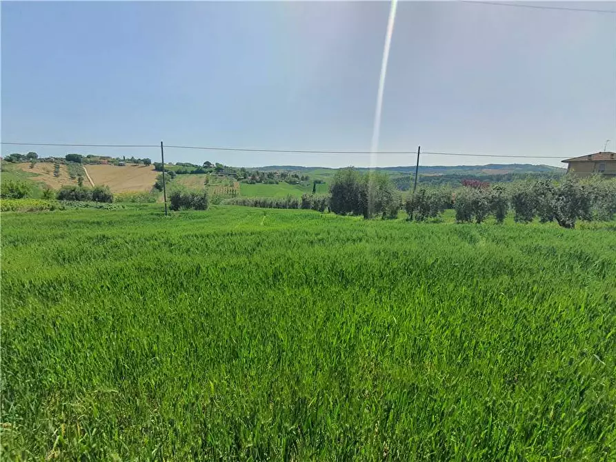 Immagine 25 di Terreno in vendita  in Via cecapalomba, 10 a Fermo