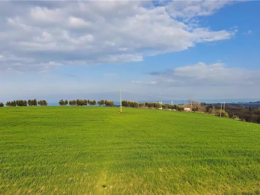 Immagine 40 di Terreno in vendita  in Via monti di Monterubbiano a Lapedona
